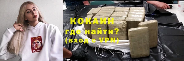 крисы Армянск
