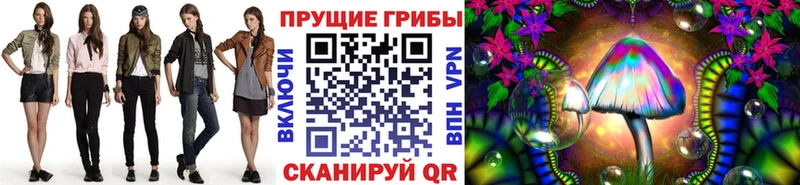 купить наркоту  Пошехонье  Псилоцибиновые грибы Cubensis 